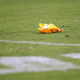 Photo: Matt Rourke/AP